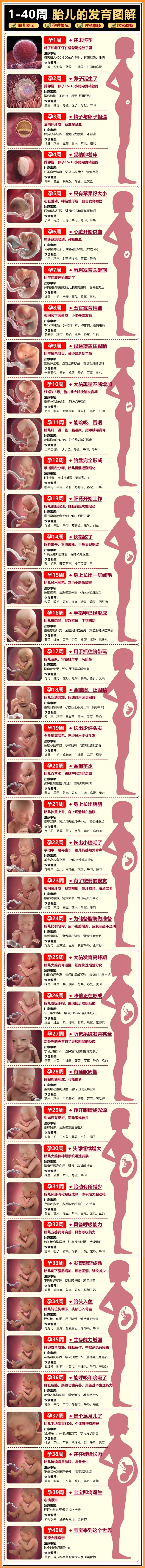 澳门性别筛选技术解析：法律与伦理边界